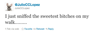 Illustration for article titled Mario Lopez's Dog Is a Total Douche Bag